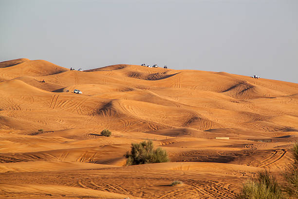 Afternoon Red Dunes Bashing without Camp activities Tour