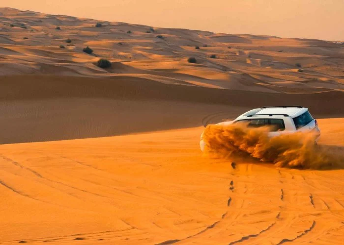 Red Dune Desert Safari Tour with VIP BBQ Dinner on Tabel