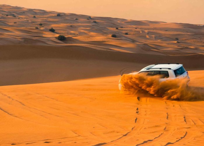 cruise ride in red dunes